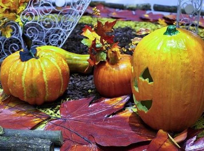 Halloween: Candy, costumes, and more!