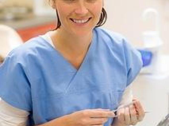 Navigating the World of Dental Insurance Terminology