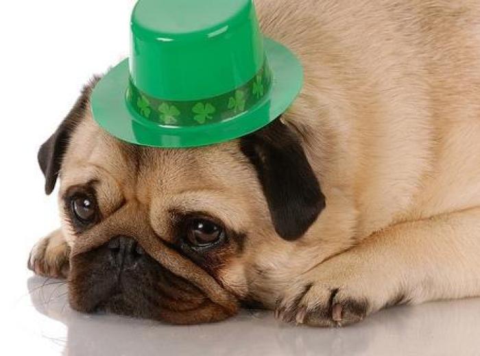 St. Patrick's Day