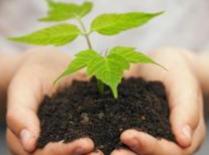 Earth Day